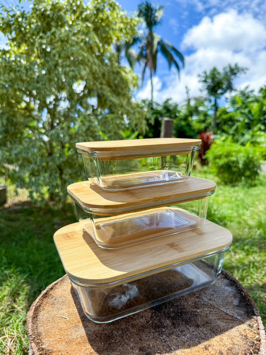 Tupperware VEDA (LOT DE 3)
